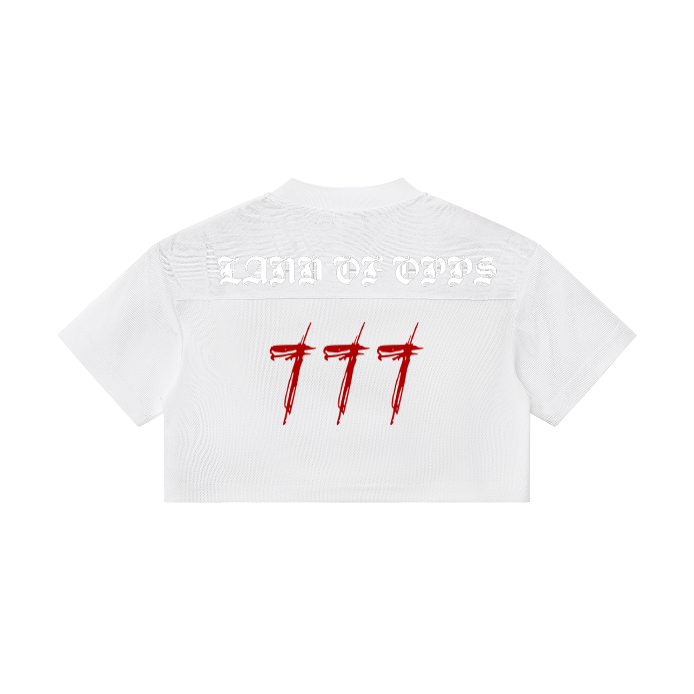 Women’s Cropped Paneled V-Neck Jersey