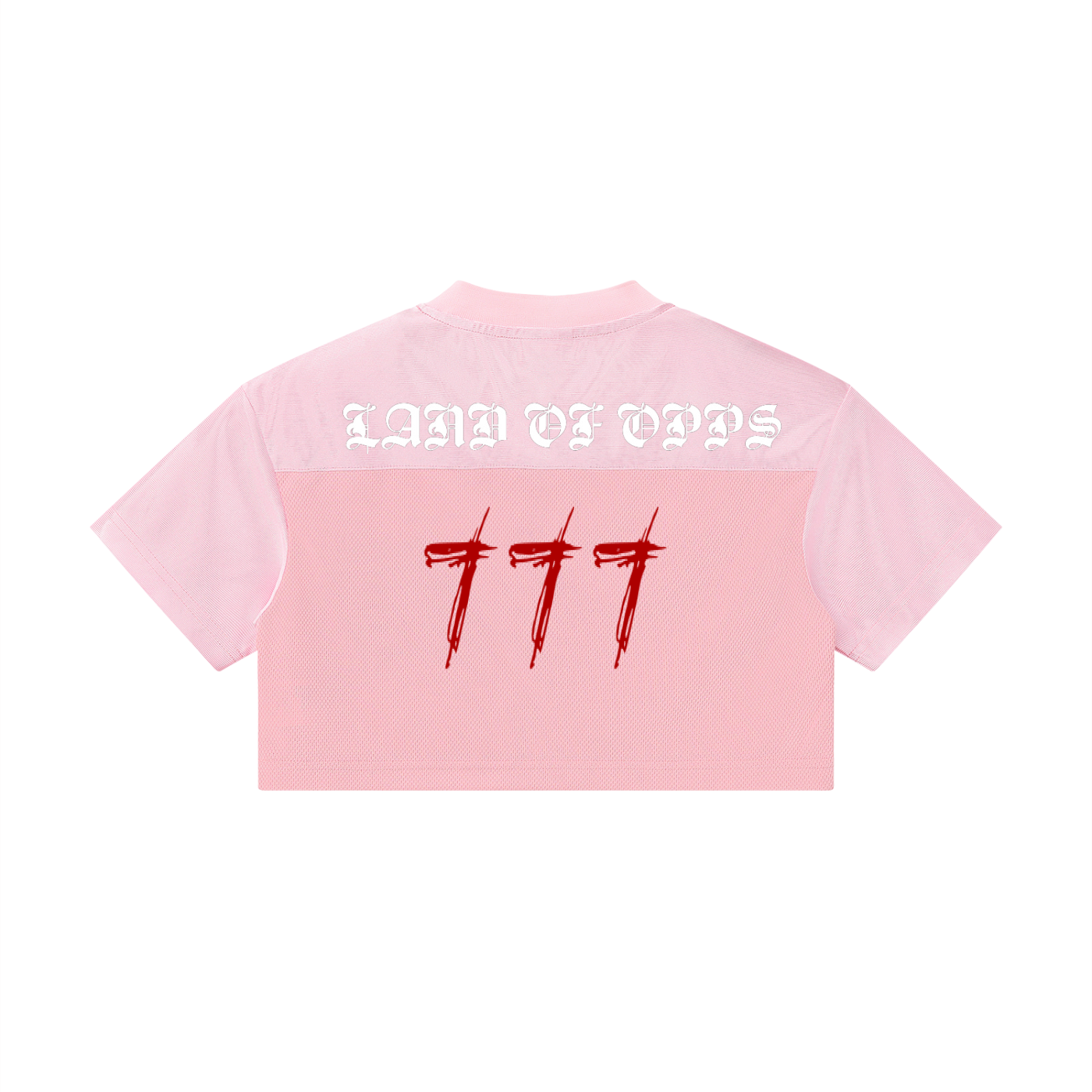 Women’s Cropped Paneled V-Neck Jersey
