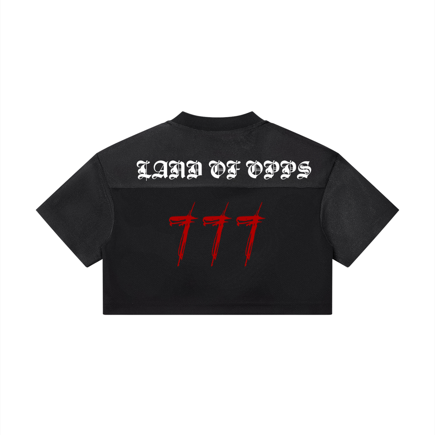 Women’s Cropped Paneled V-Neck Jersey